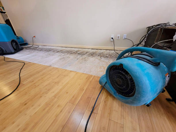 Professional Water Removal technician working in Seneca, SC